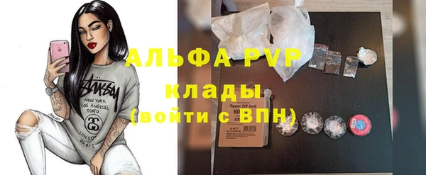 стафф Алексин