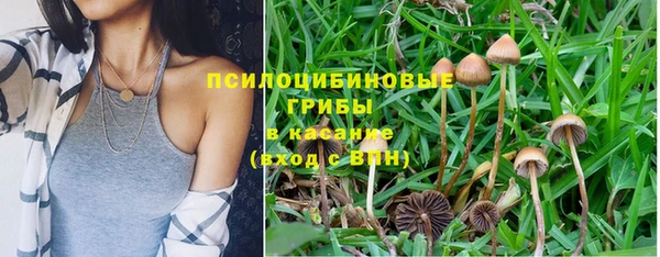синтетический гашиш Алексеевка