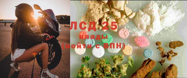стафф Алексин